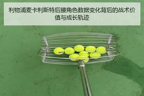 利物浦麦卡利斯特后腰角色数据变化背后的战术价值与成长轨迹