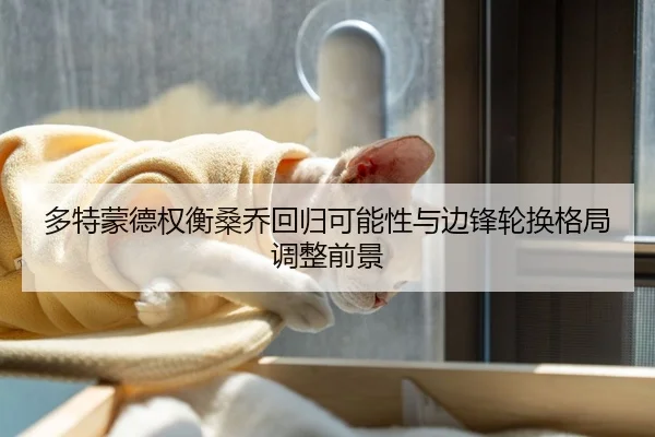 多特蒙德权衡桑乔回归可能性与边锋轮换格局调整前景